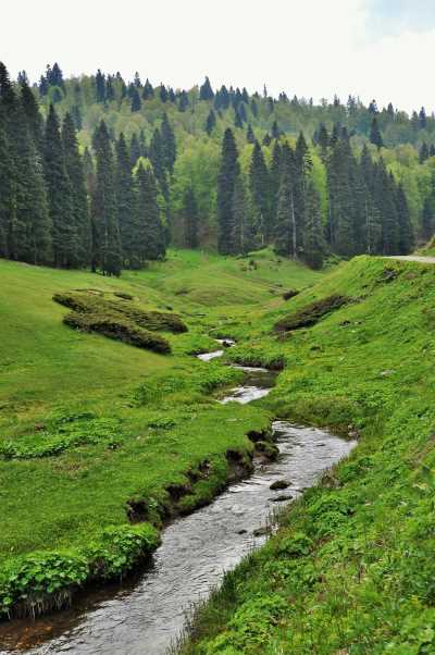 Derebalık Yaylası